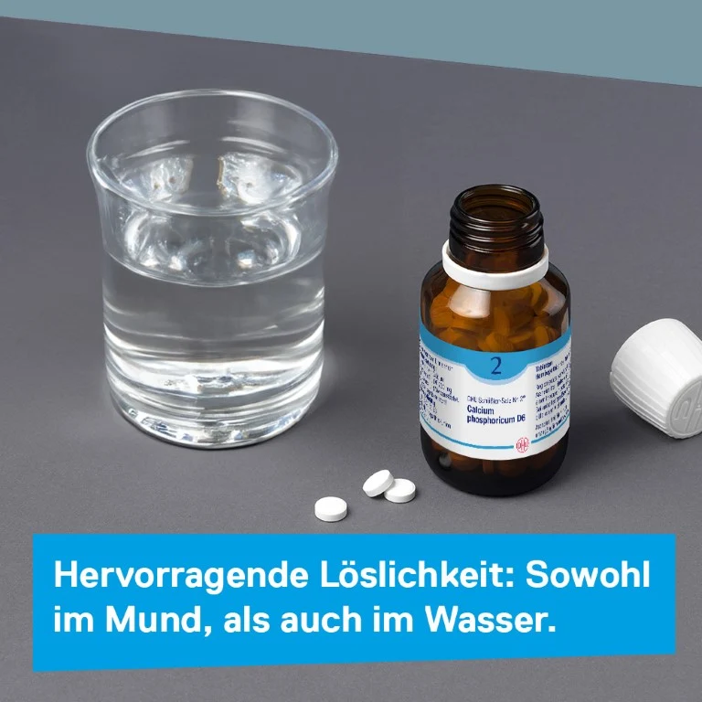 DHU Schüßler-Salz Nr. 2 Calcium phosphoricum D12, 900 St. Tabletten